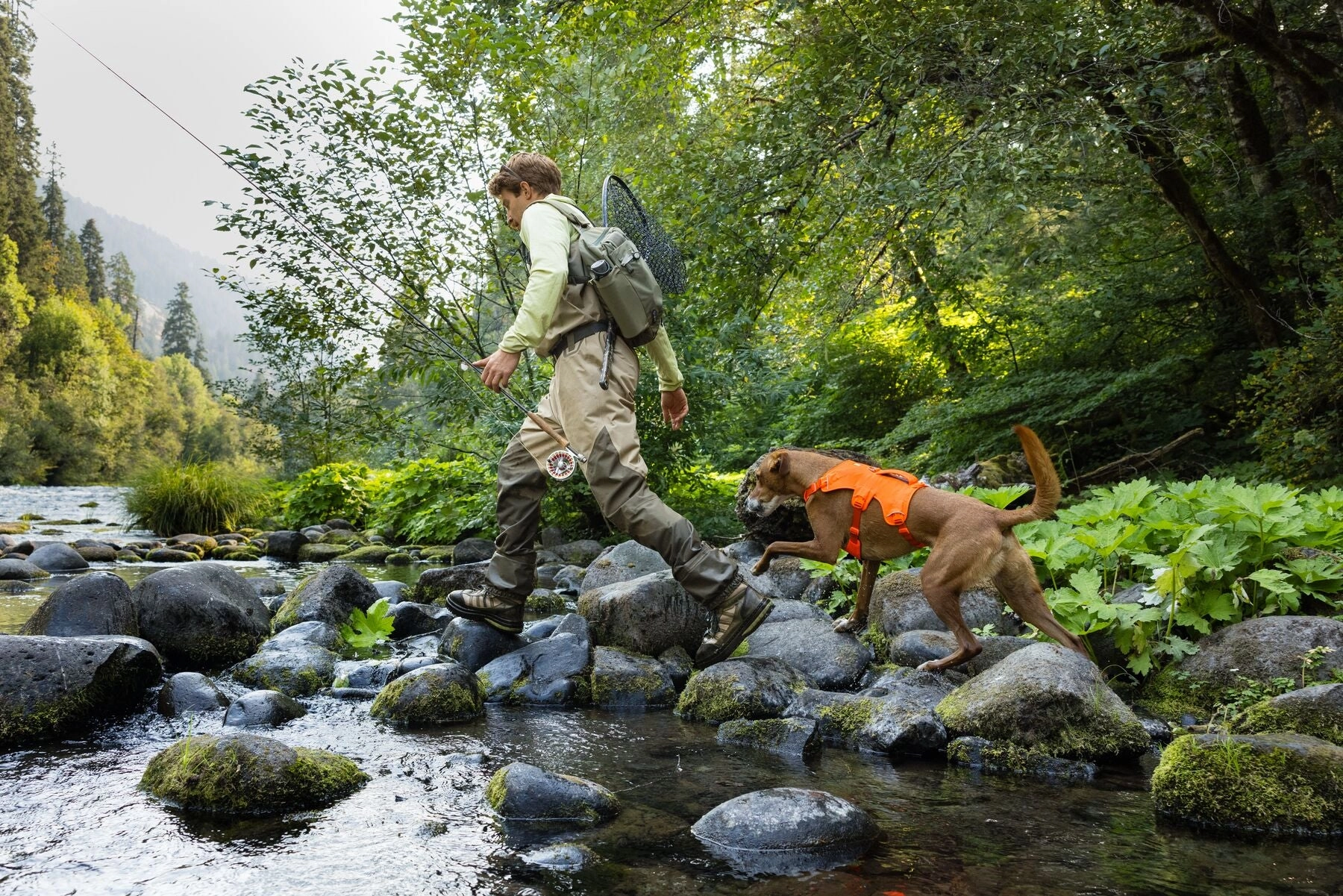 Ruffwear Web Master? Dog Harness with Neck Buckle and Handle (Blaze Orange)