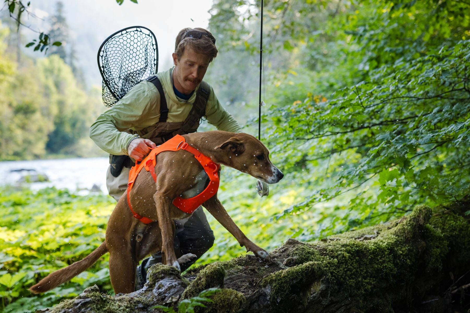 Ruffwear Web Master? Dog Harness with Neck Buckle and Handle (Blaze Orange)