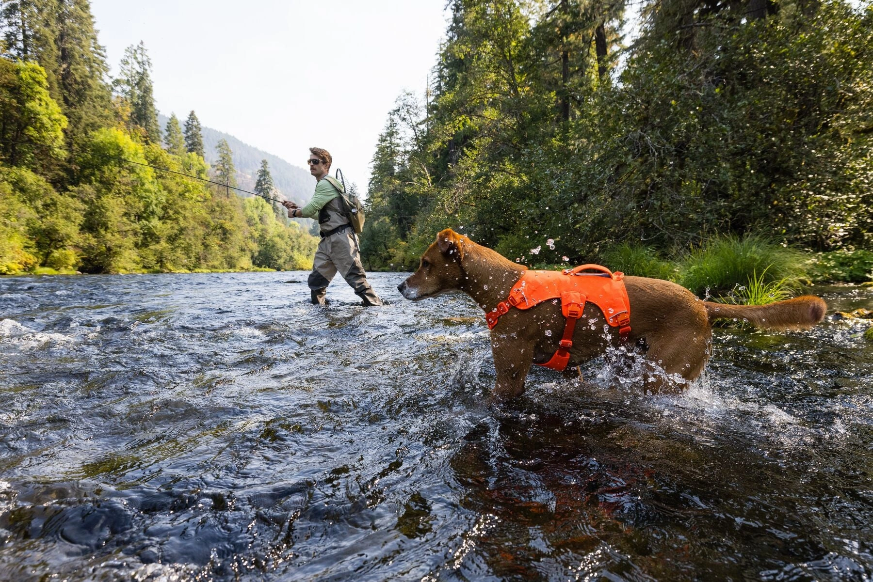 Ruffwear Web Master? Dog Harness with Neck Buckle and Handle (Blaze Orange)