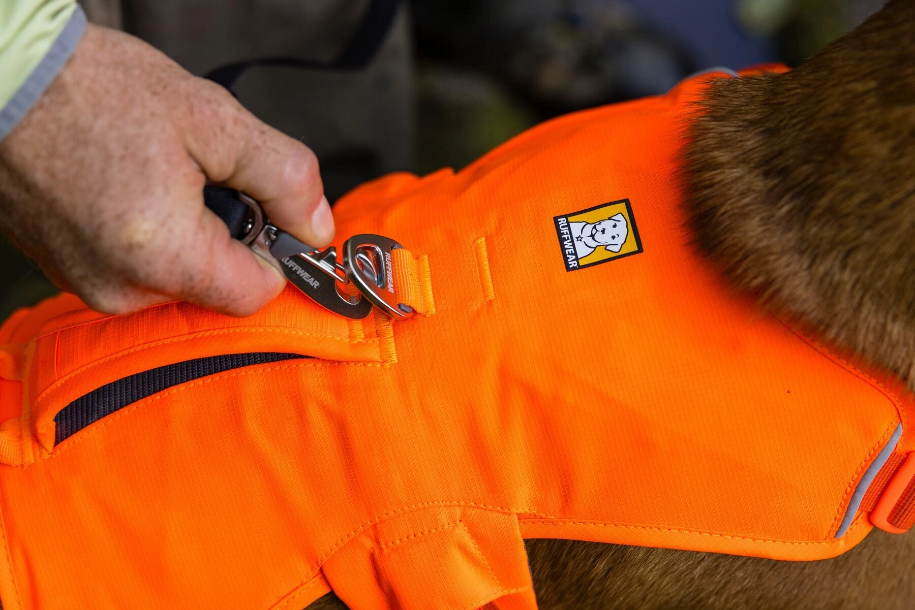 Ruffwear Web Master? Dog Harness with Neck Buckle and Handle (Blaze Orange)