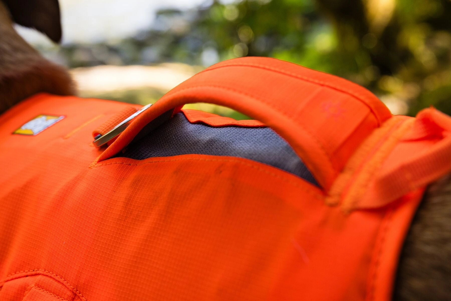 Ruffwear Web Master? Dog Harness with Neck Buckle and Handle (Blaze Orange)