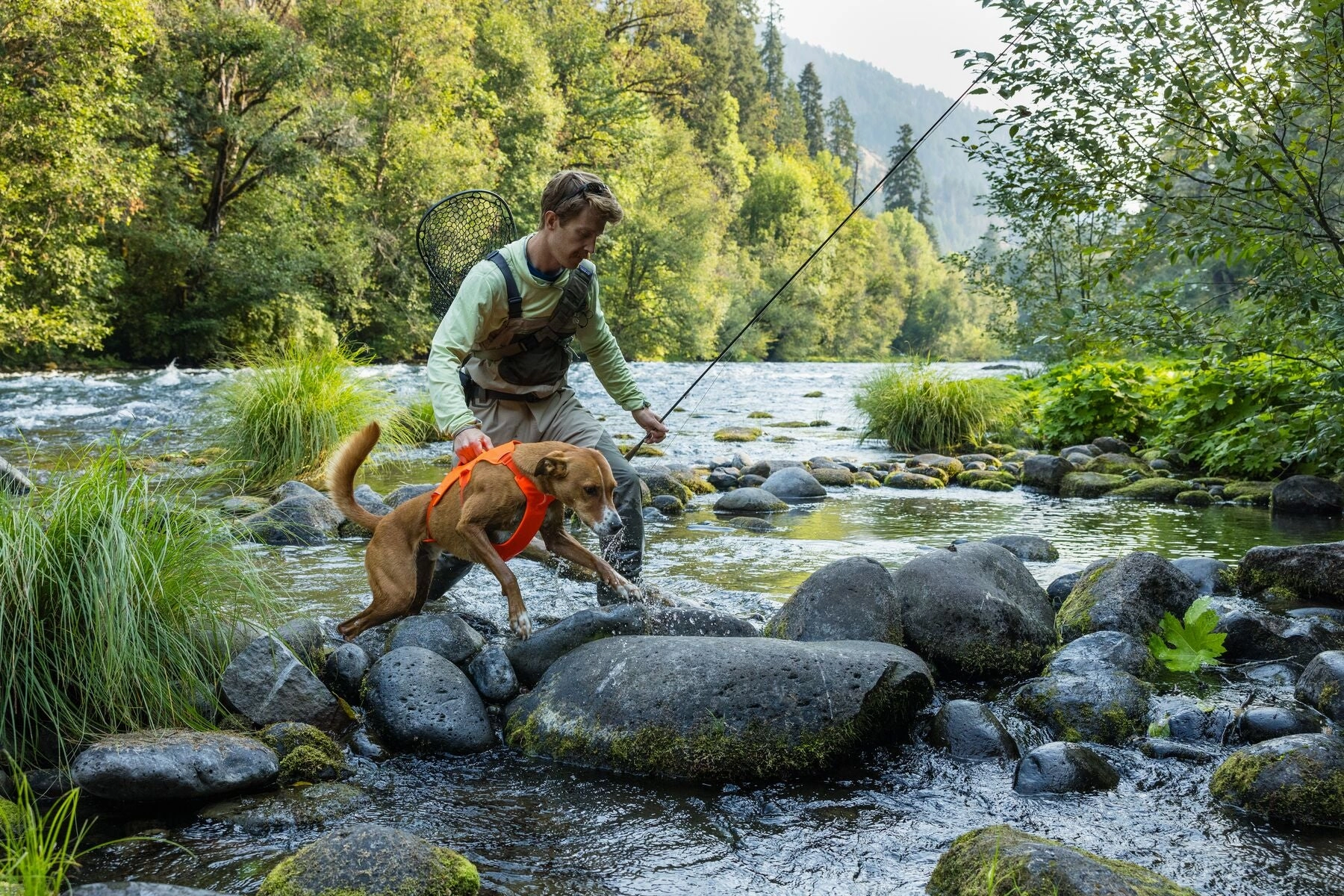 Ruffwear Web Master? Dog Harness with Neck Buckle and Handle (Blaze Orange)