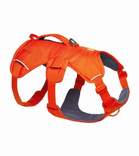 Ruffwear Web Master? Dog Harness with Neck Buckle and Handle (Blaze Orange) dog joint care,hip support