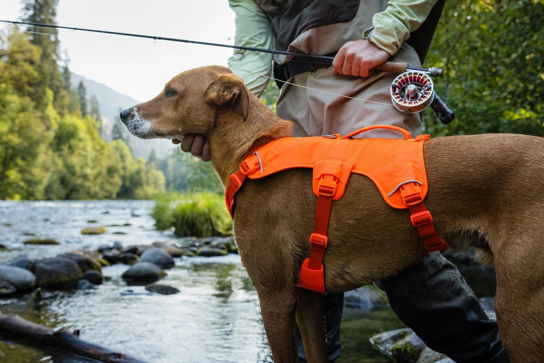 Ruffwear Web Master? Dog Harness with Neck Buckle and Handle (Blaze Orange)