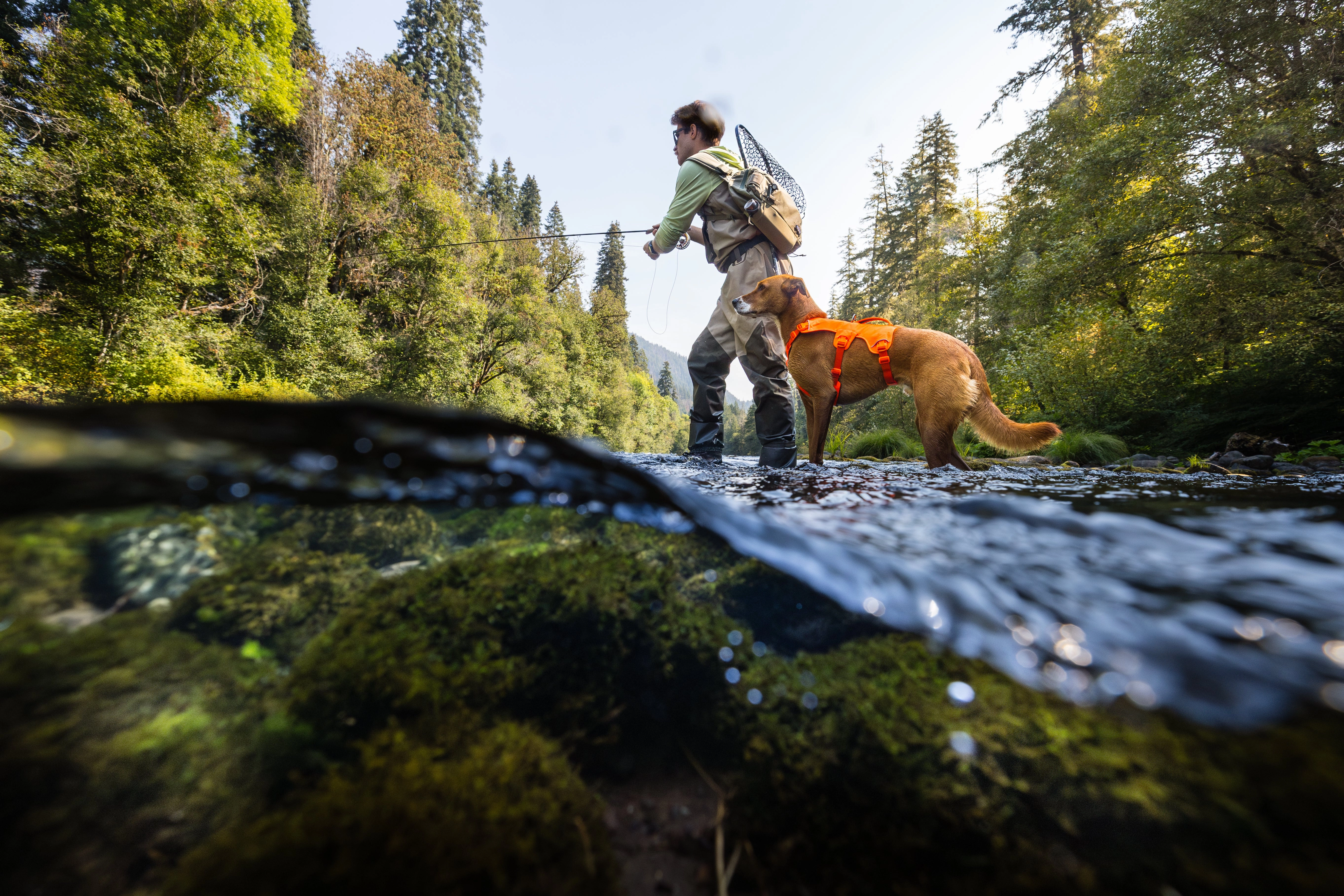 Ruffwear Web Master? Dog Harness with Neck Buckle and Handle (Blaze Orange)
