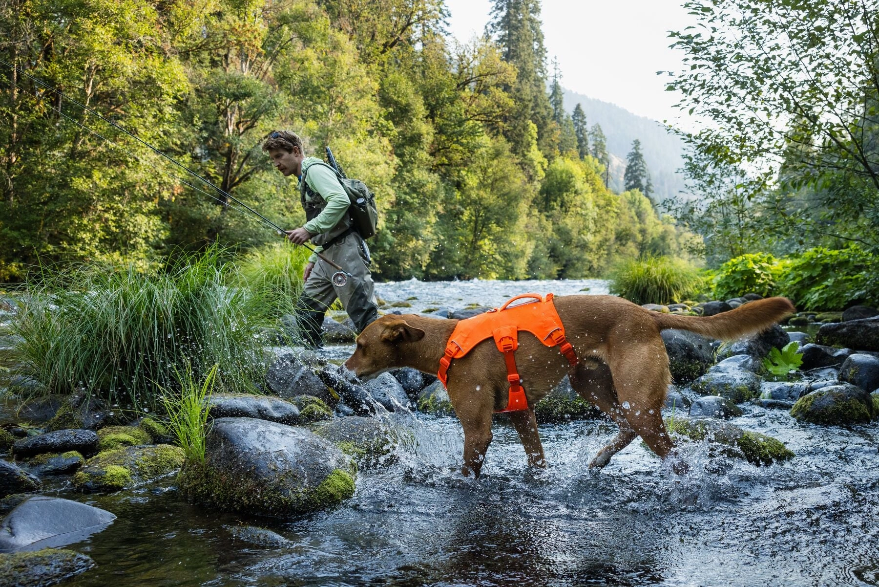 Ruffwear Web Master? Dog Harness with Neck Buckle and Handle (Blaze Orange)