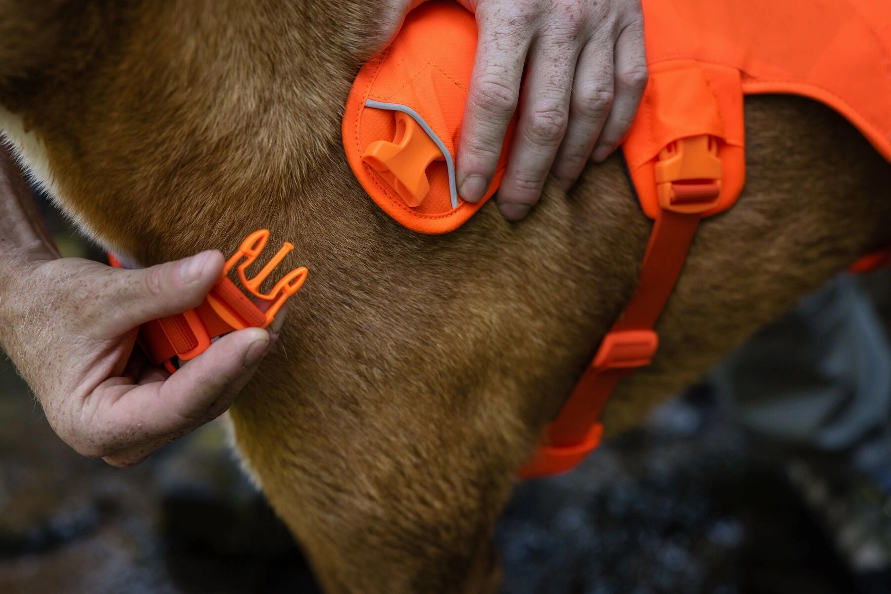 Ruffwear Web Master? Dog Harness with Neck Buckle and Handle (Blaze Orange)