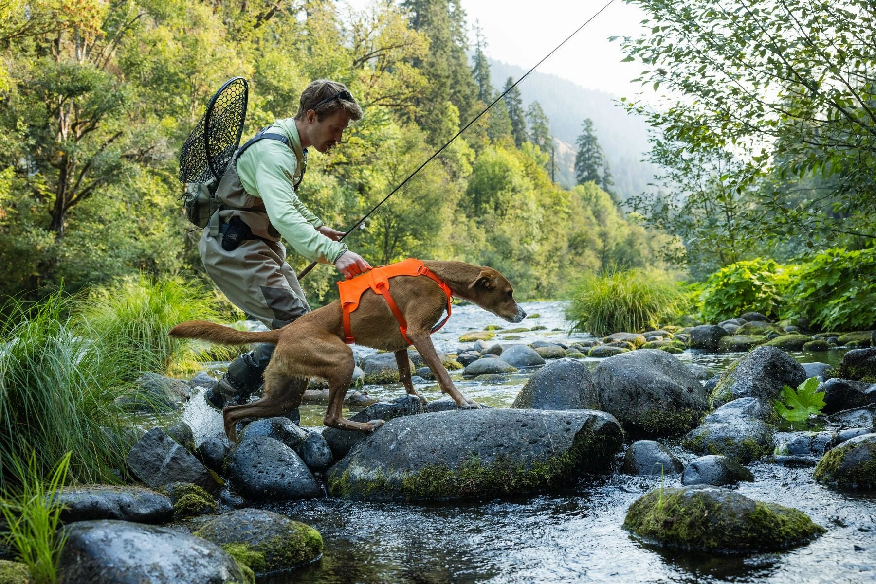 Ruffwear Web Master? Dog Harness with Neck Buckle and Handle (Blaze Orange)