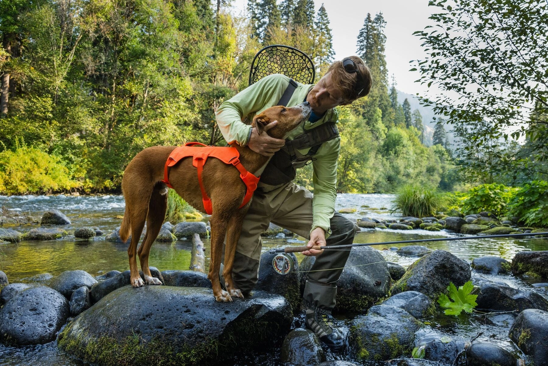 Ruffwear Web Master? Dog Harness with Neck Buckle and Handle (Blaze Orange)
