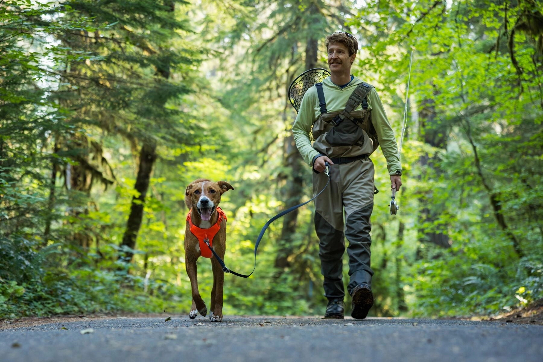 Ruffwear Web Master? Dog Harness with Neck Buckle and Handle (Blaze Orange)