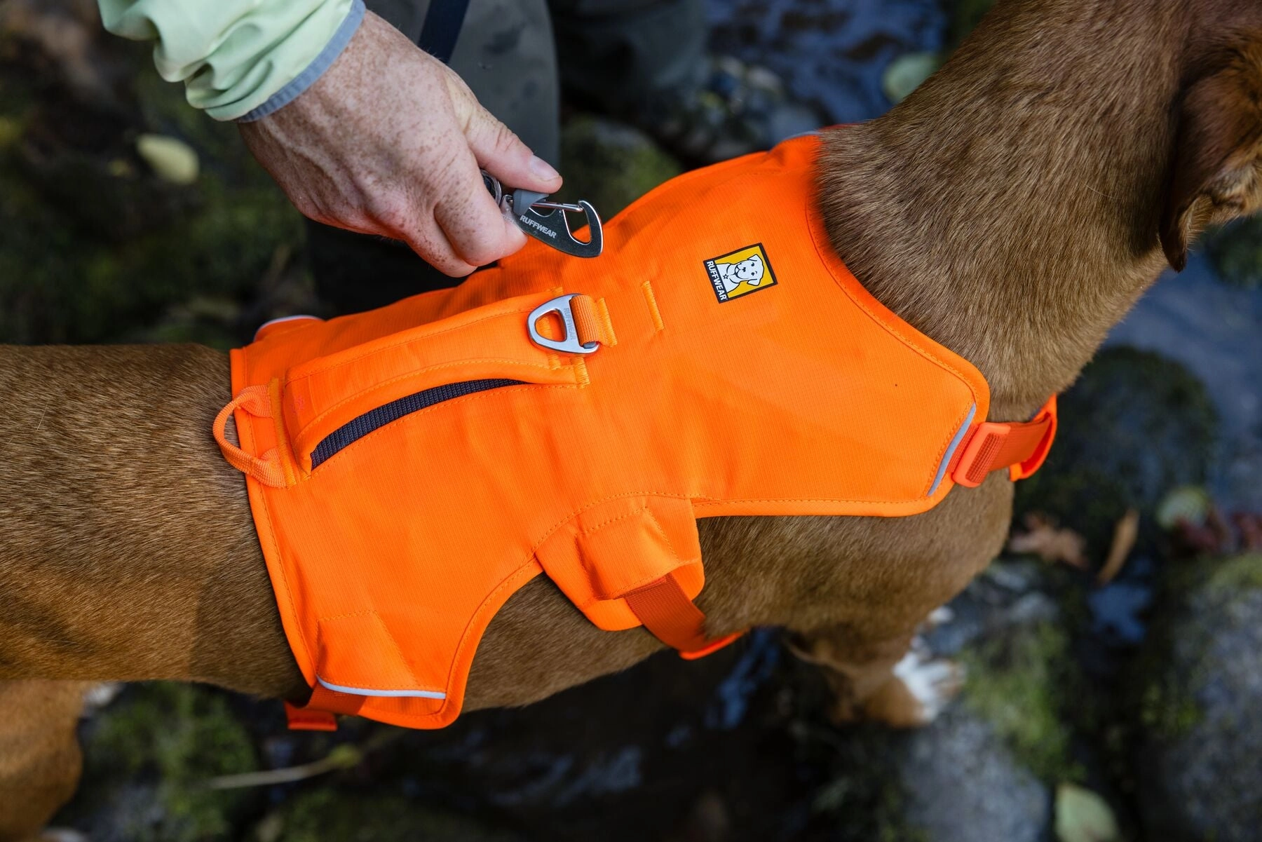 Ruffwear Web Master? Dog Harness with Neck Buckle and Handle (Blaze Orange)