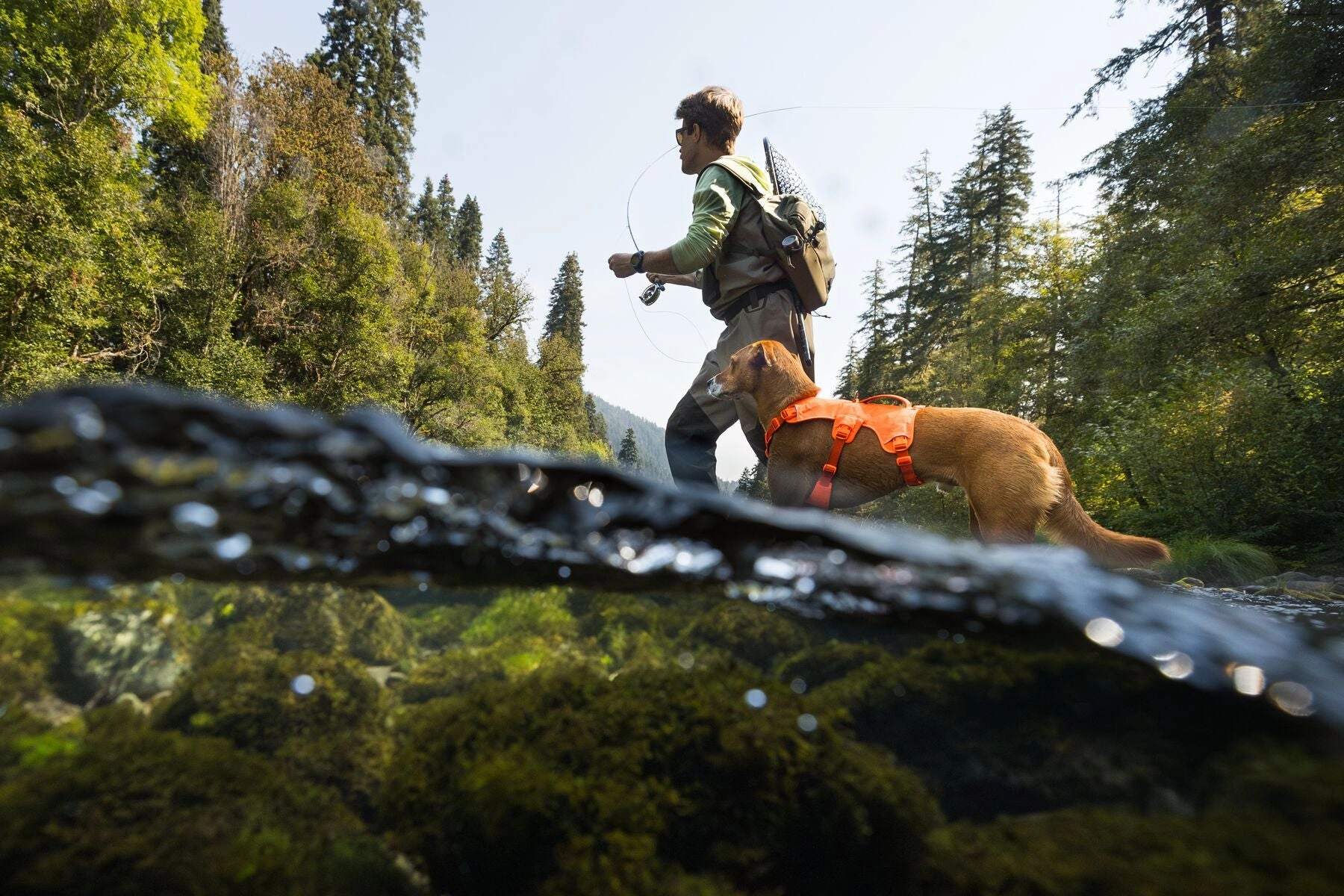 Ruffwear Web Master? Dog Harness with Neck Buckle and Handle (Blaze Orange)