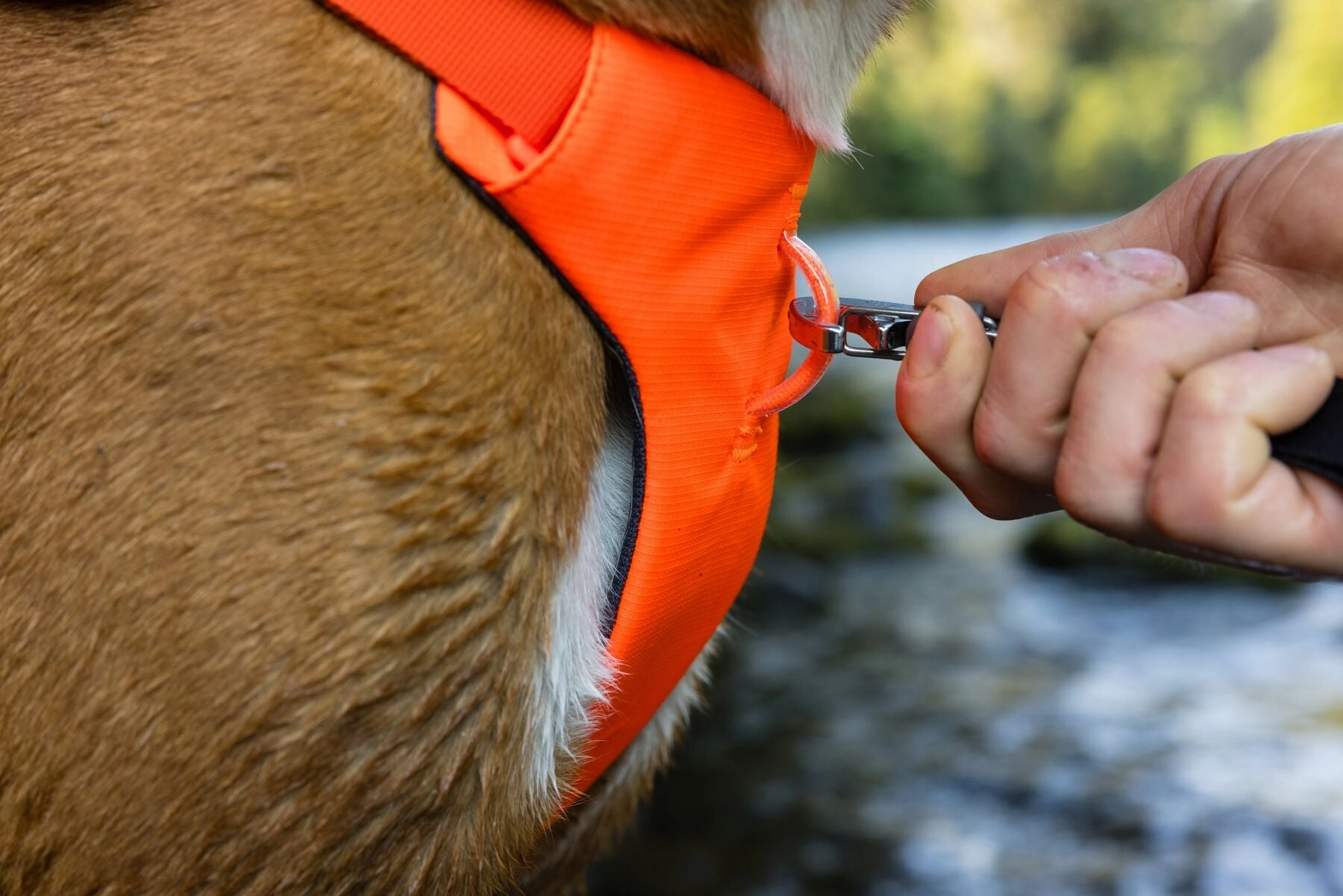 Ruffwear Web Master? Dog Harness with Neck Buckle and Handle (Blaze Orange)