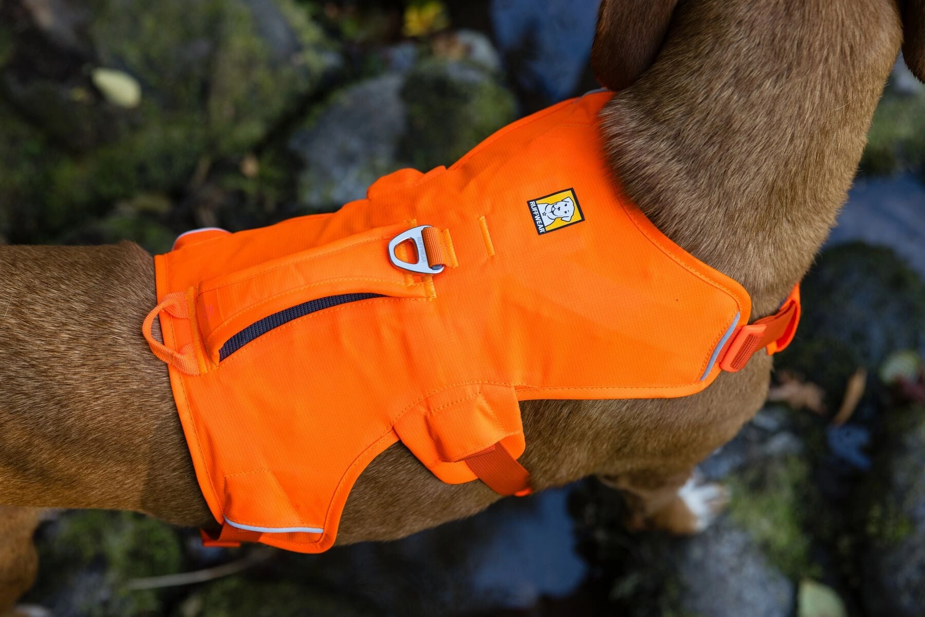 Ruffwear Web Master? Dog Harness with Neck Buckle and Handle (Blaze Orange)
