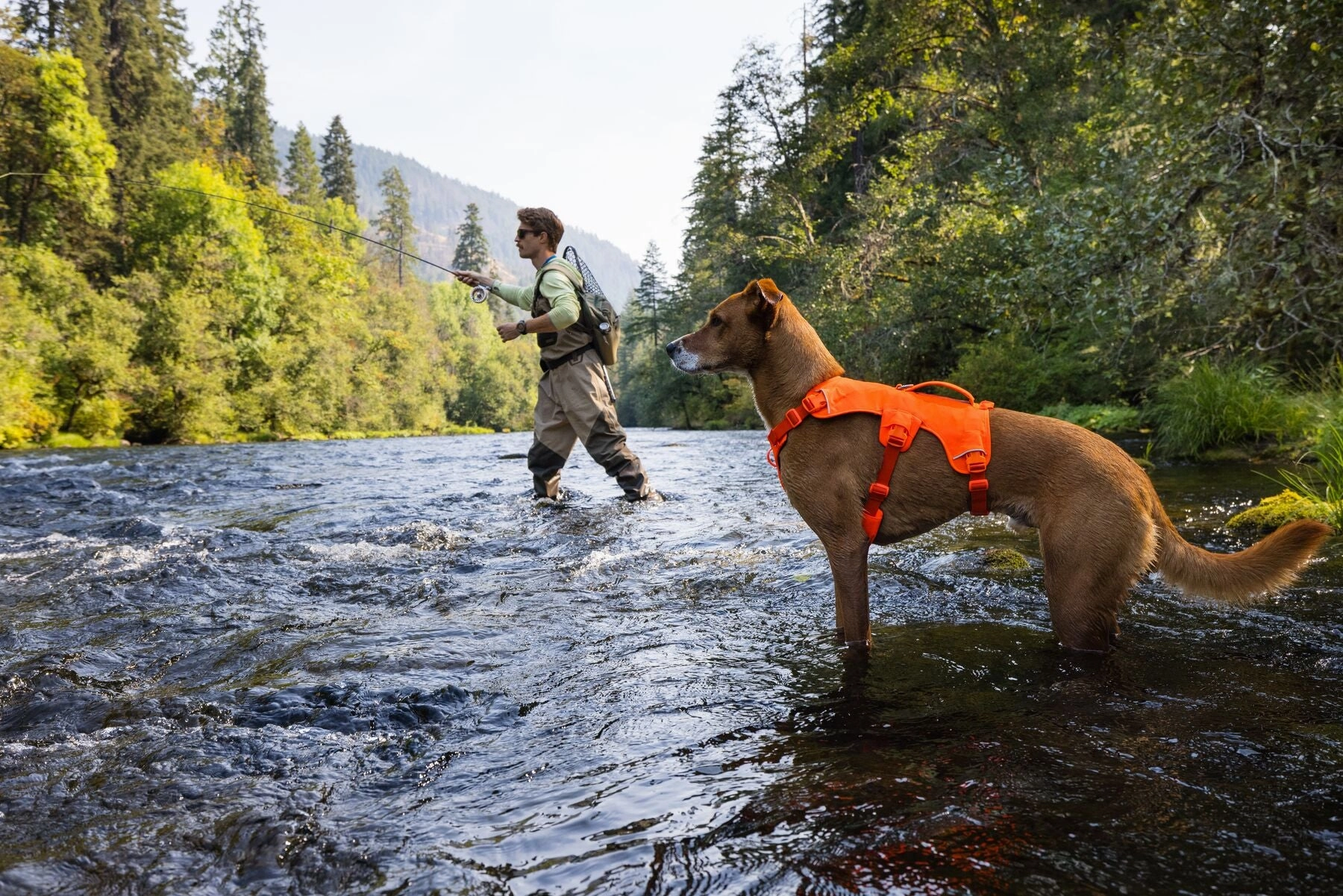 Ruffwear Web Master? Dog Harness with Neck Buckle and Handle (Blaze Orange)