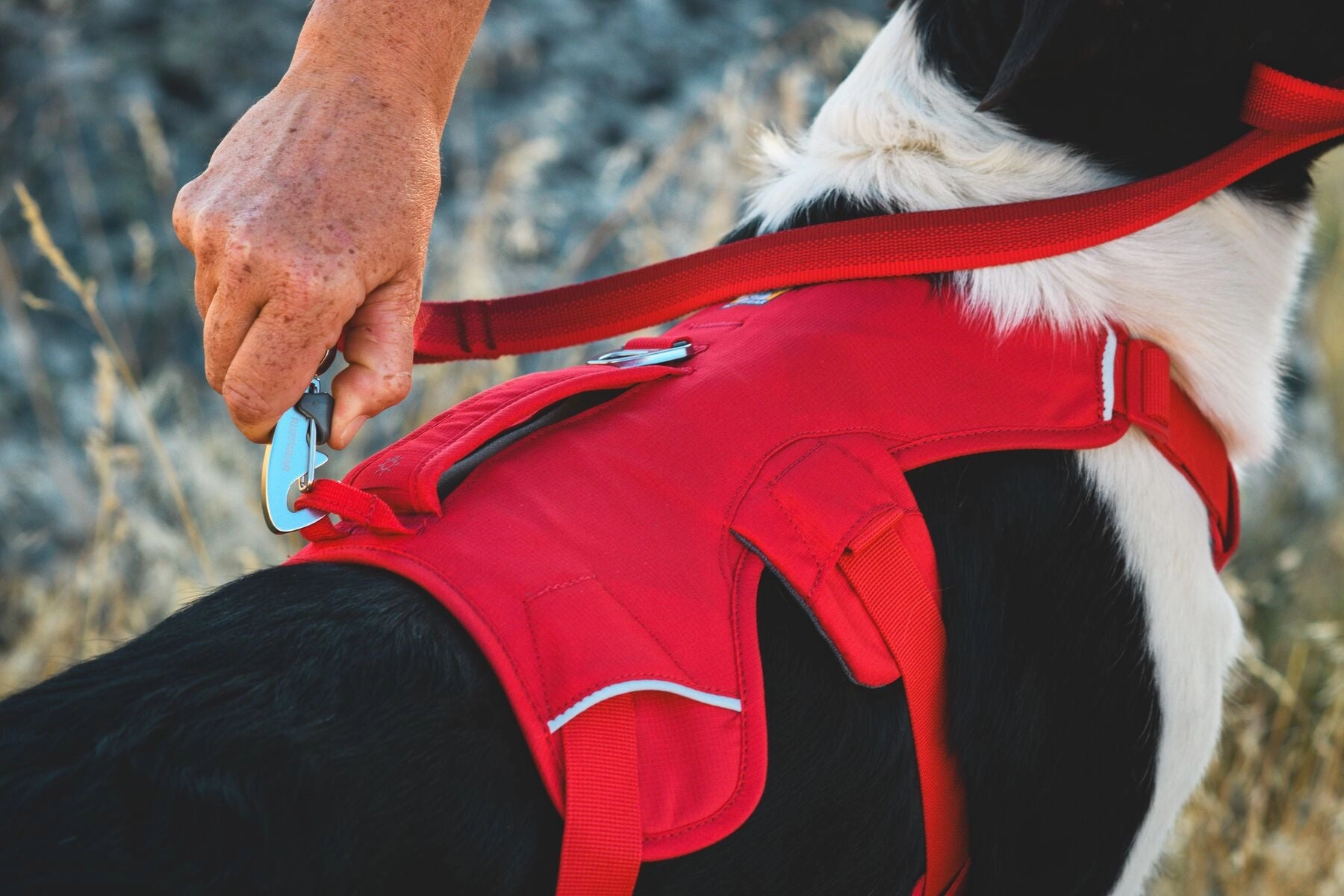 Ruffwear Web Master? Dog Harness with Neck Buckle and Handle (Red Canyon)