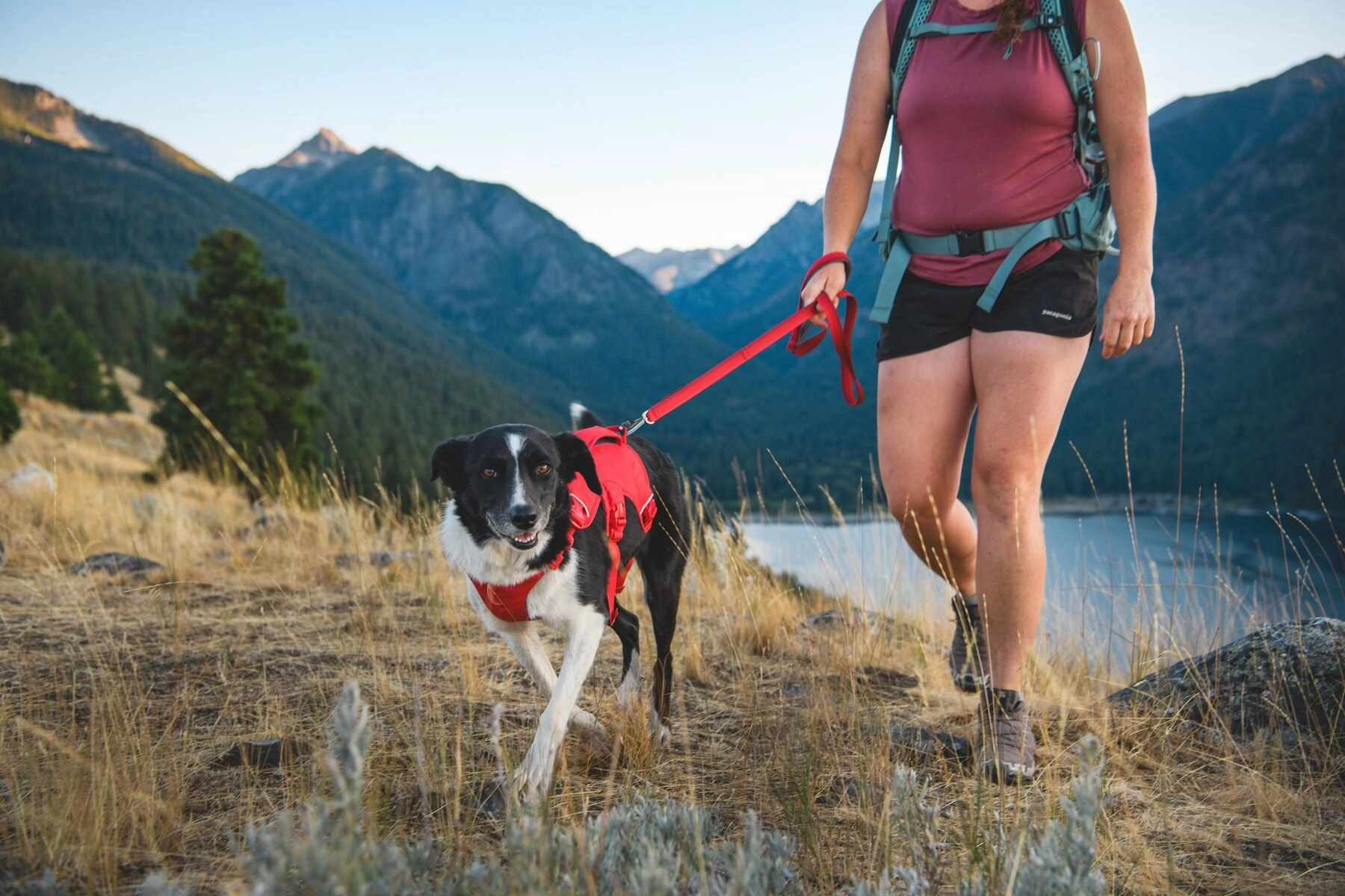 Ruffwear Web Master? Dog Harness with Neck Buckle and Handle (Red Canyon)