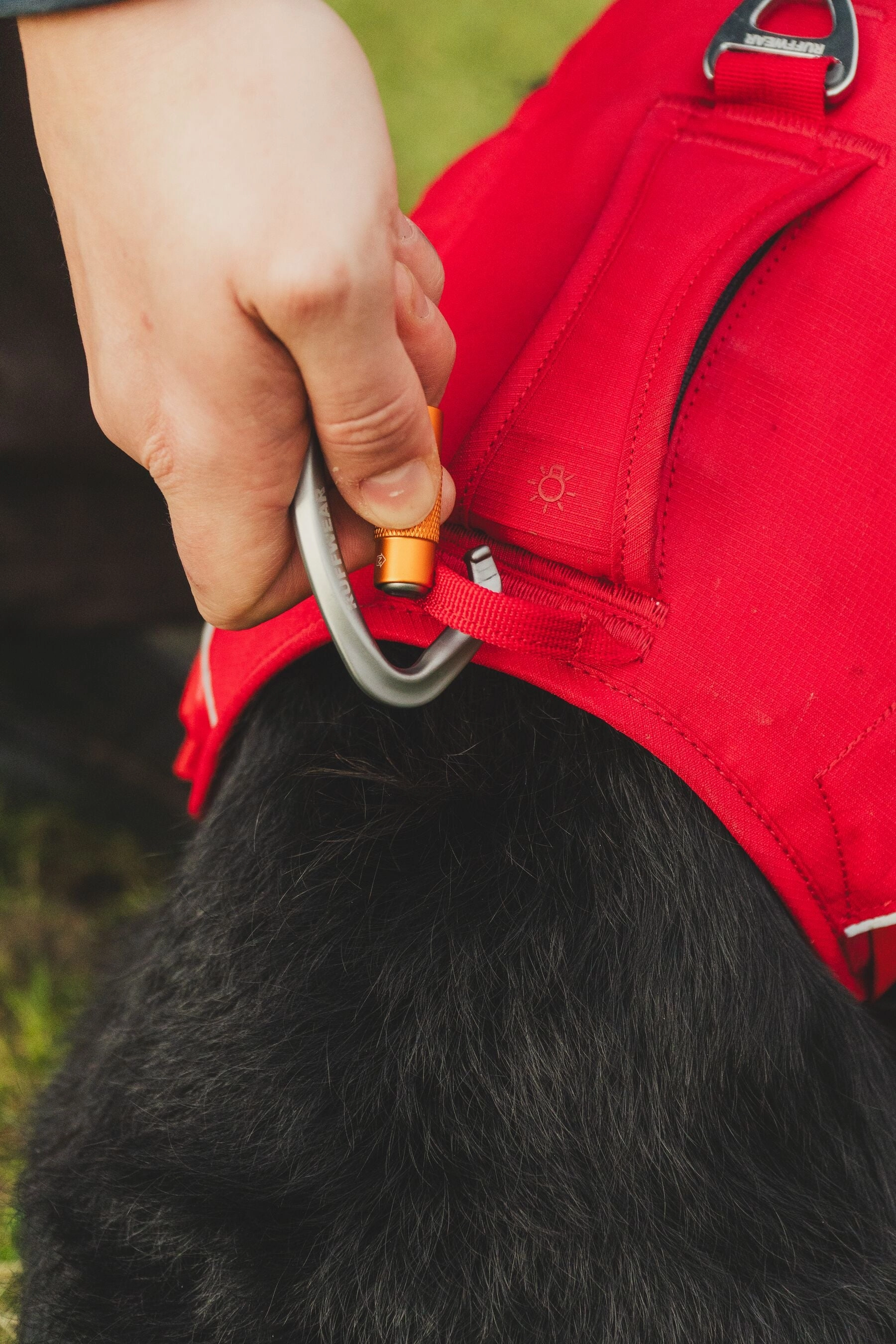 Ruffwear Web Master? Dog Harness with Neck Buckle and Handle (Red Canyon)