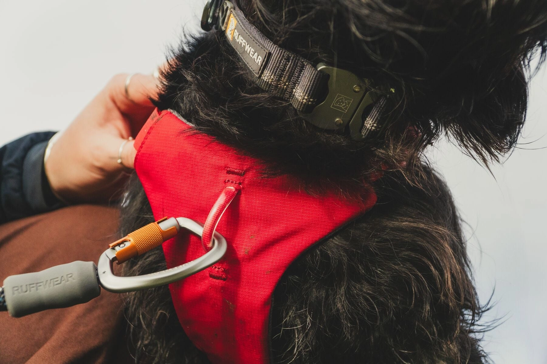 Ruffwear Web Master? Dog Harness with Neck Buckle and Handle (Red Canyon)