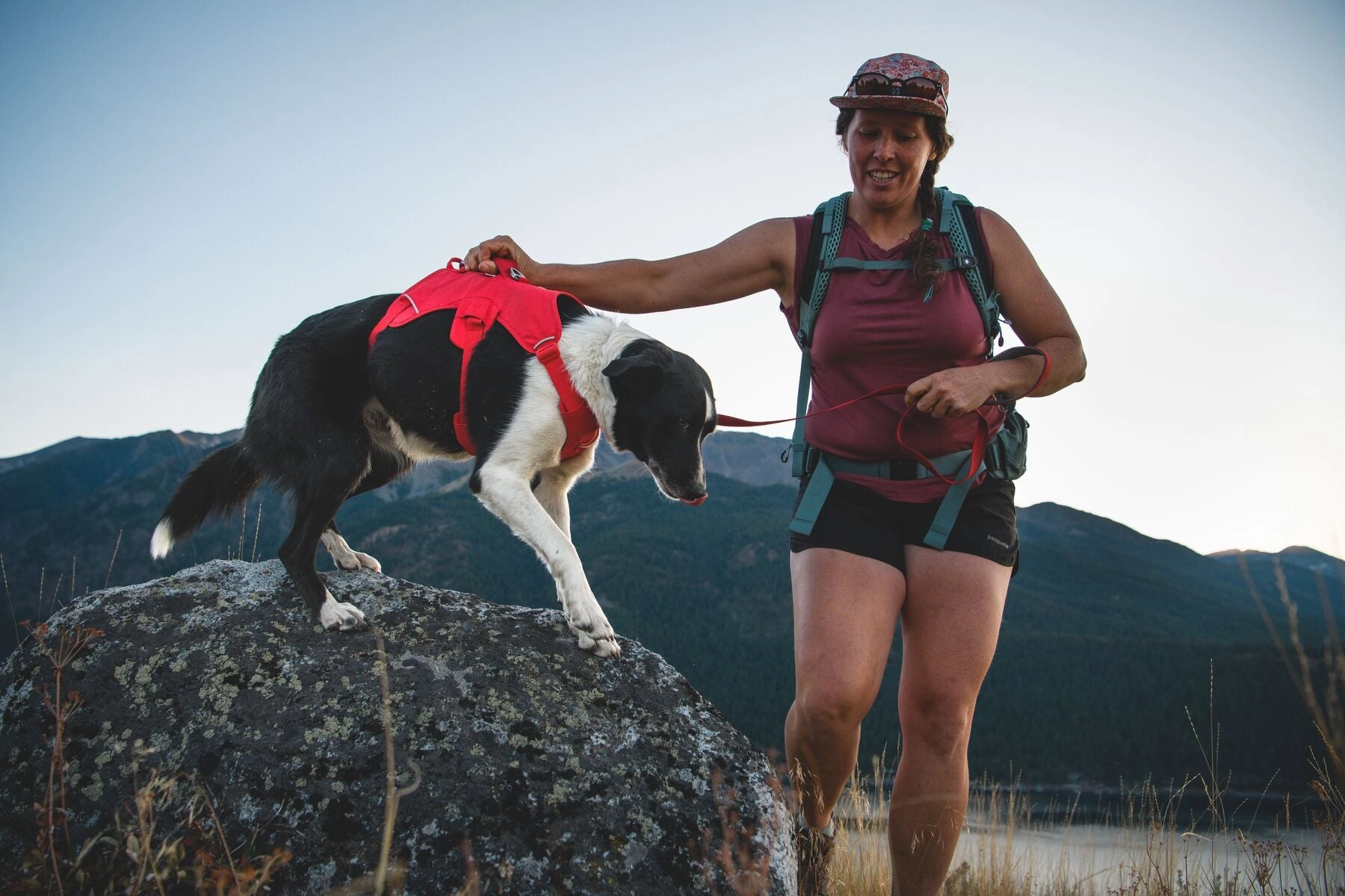 Ruffwear Web Master Dog Harness with Neck Buckle and Handle (Red Canyon)