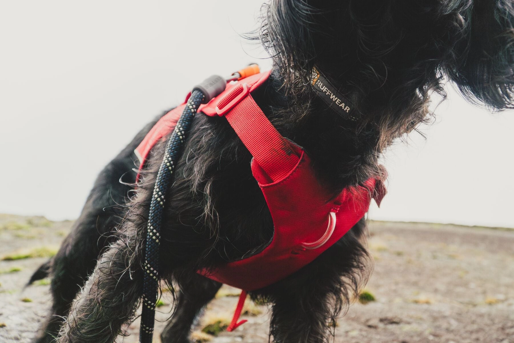 Ruffwear Web Master? Dog Harness with Neck Buckle and Handle (Red Canyon)