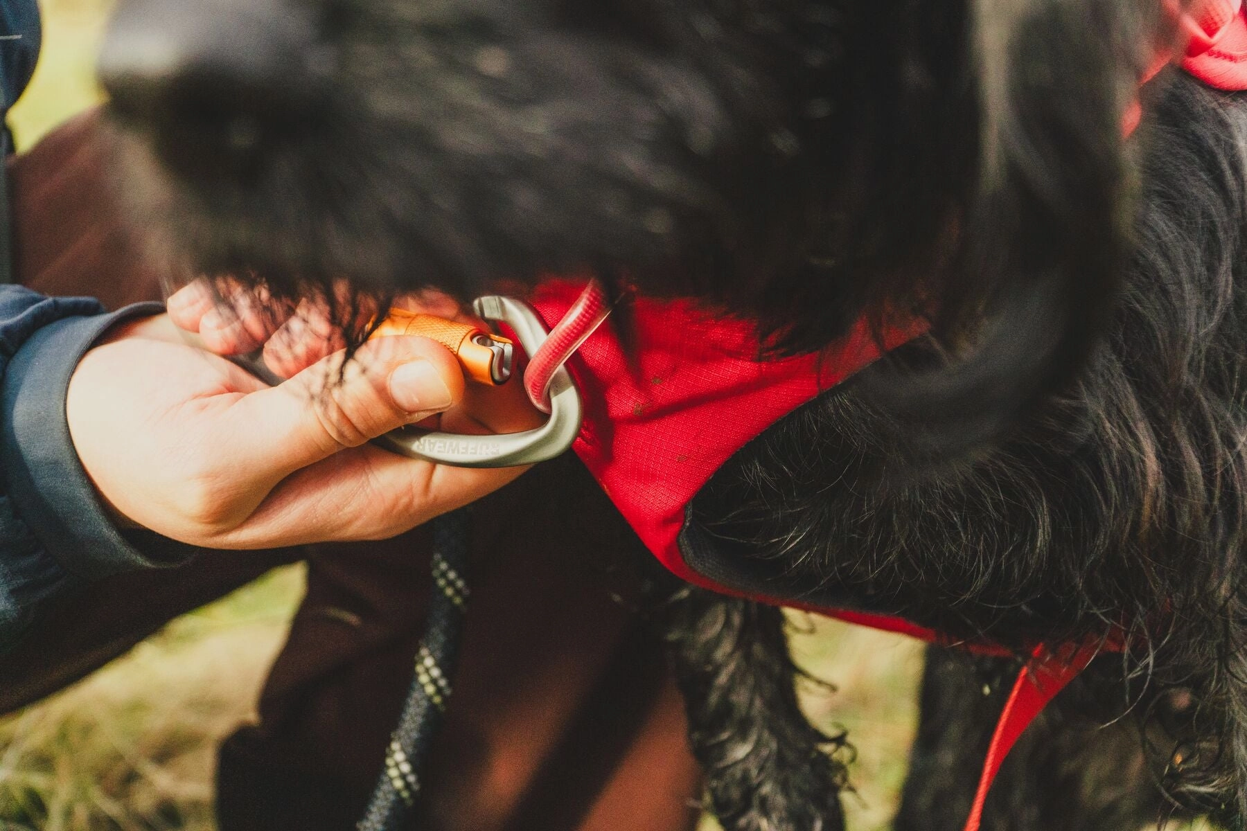 Ruffwear Web Master? Dog Harness with Neck Buckle and Handle (Red Canyon)