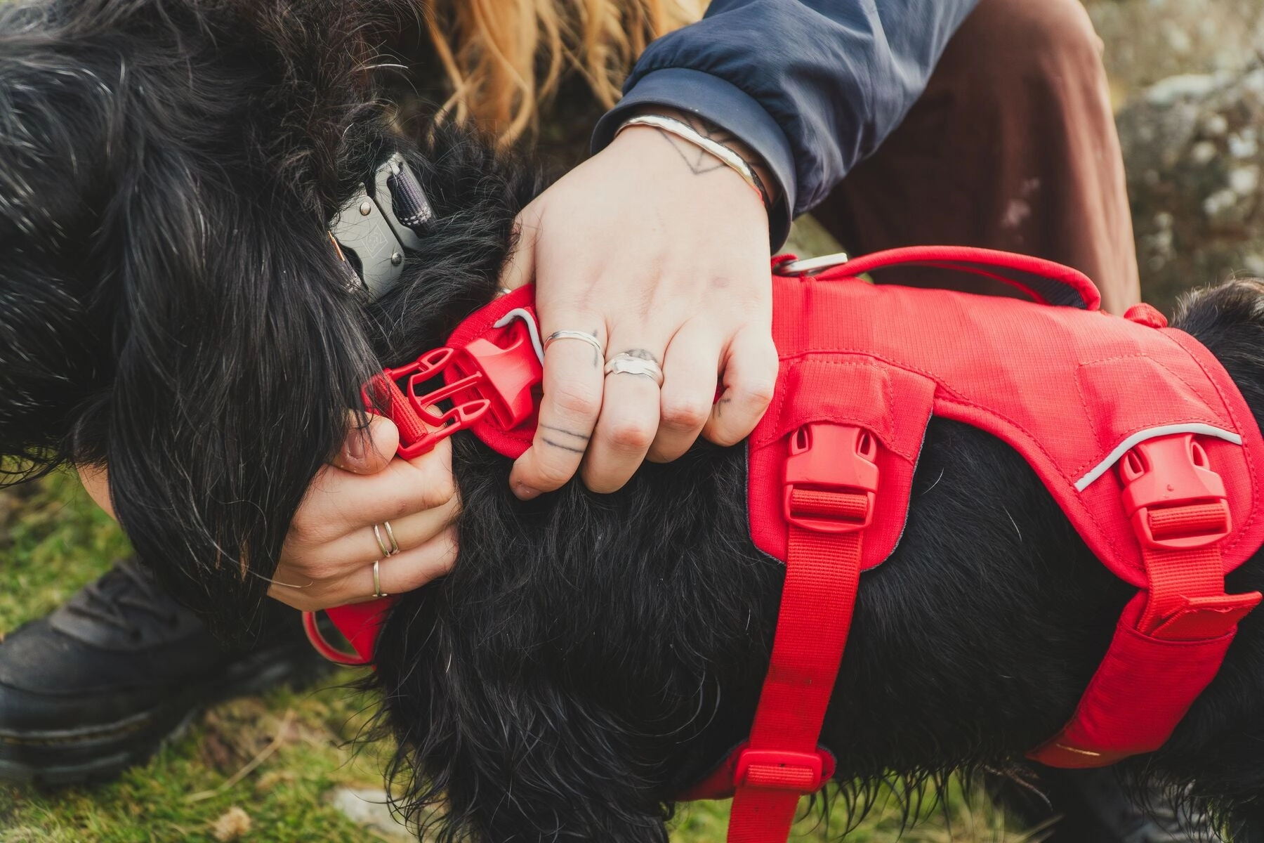 Ruffwear Web Master? Dog Harness with Neck Buckle and Handle (Red Canyon)