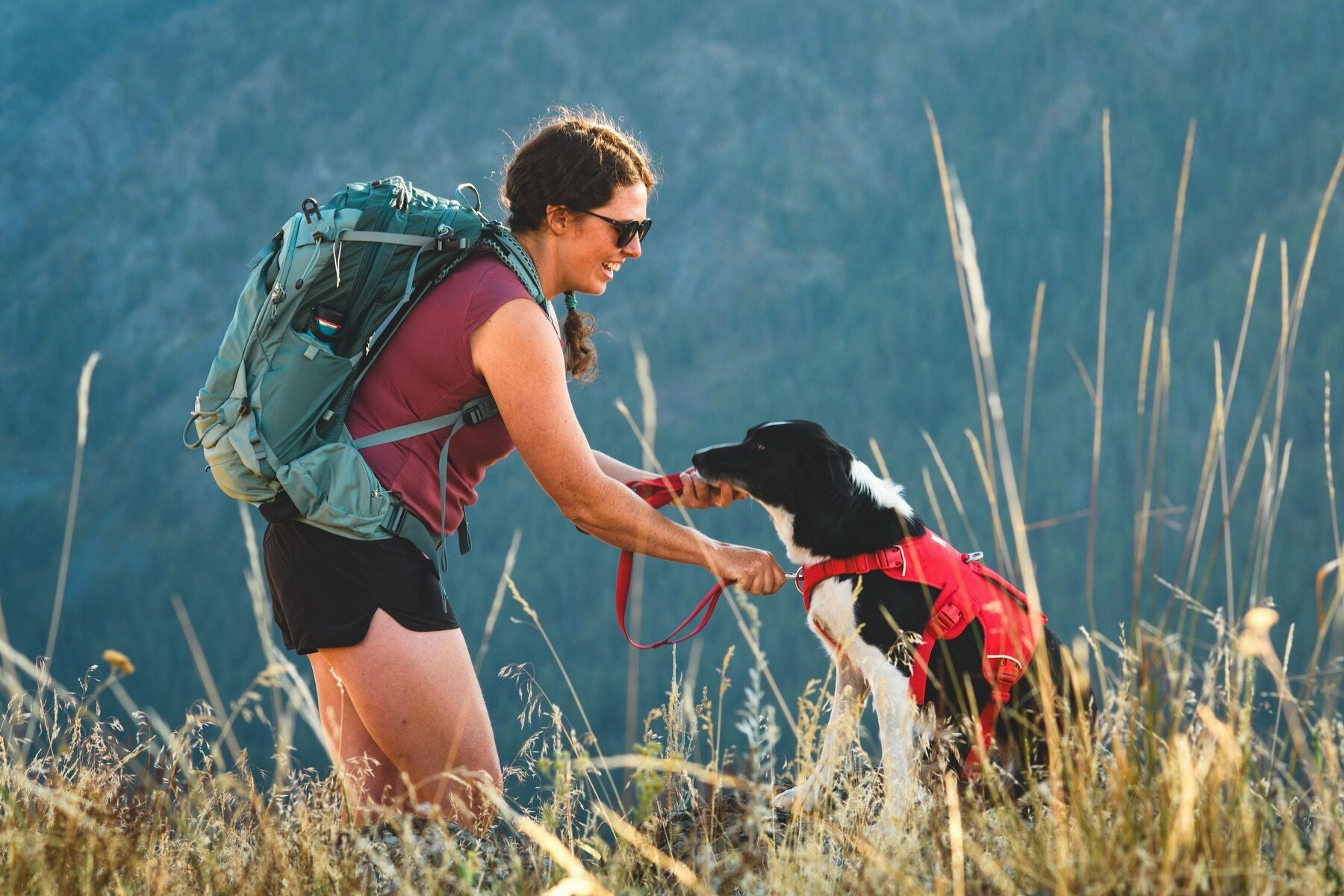 Ruffwear Web Master? Dog Harness with Neck Buckle and Handle (Red Canyon)