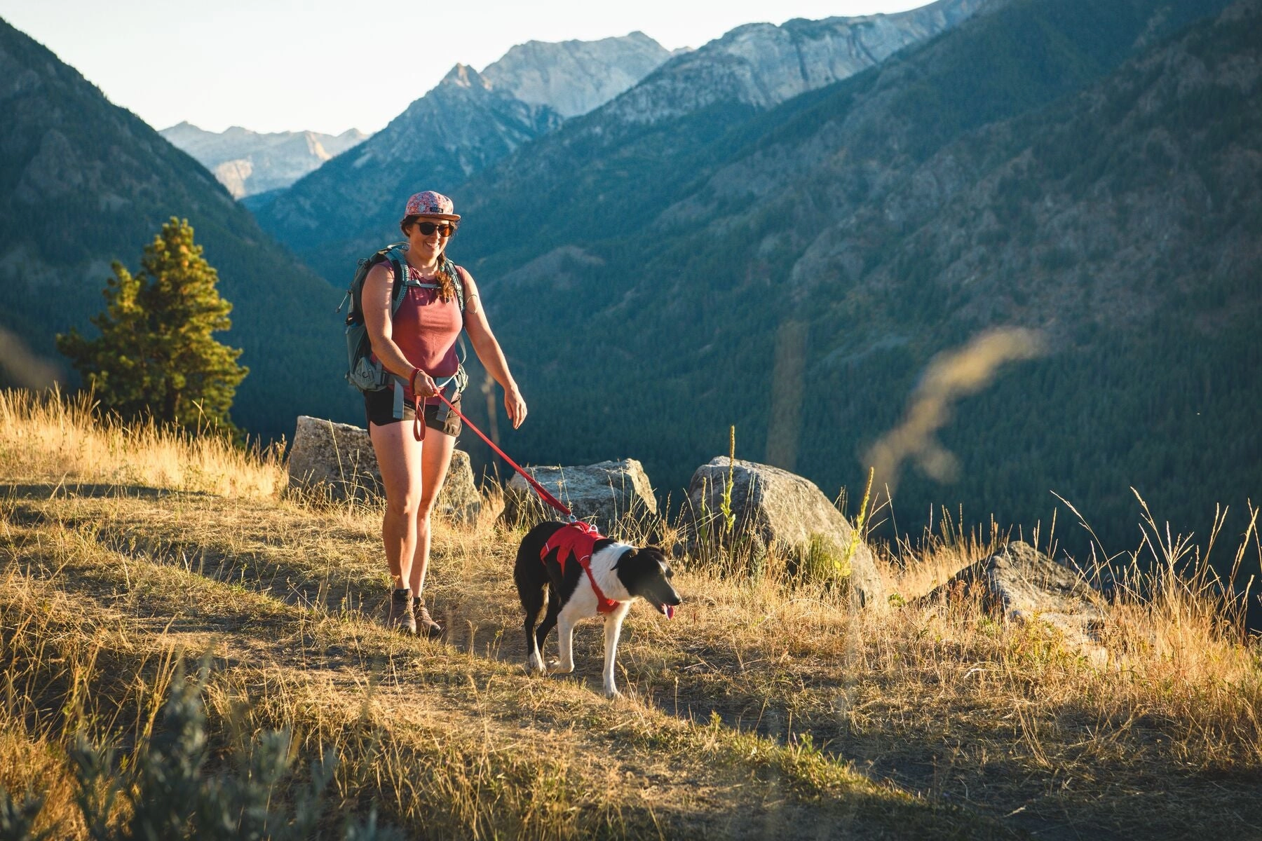 Ruffwear Web Master? Dog Harness with Neck Buckle and Handle (Red Canyon)
