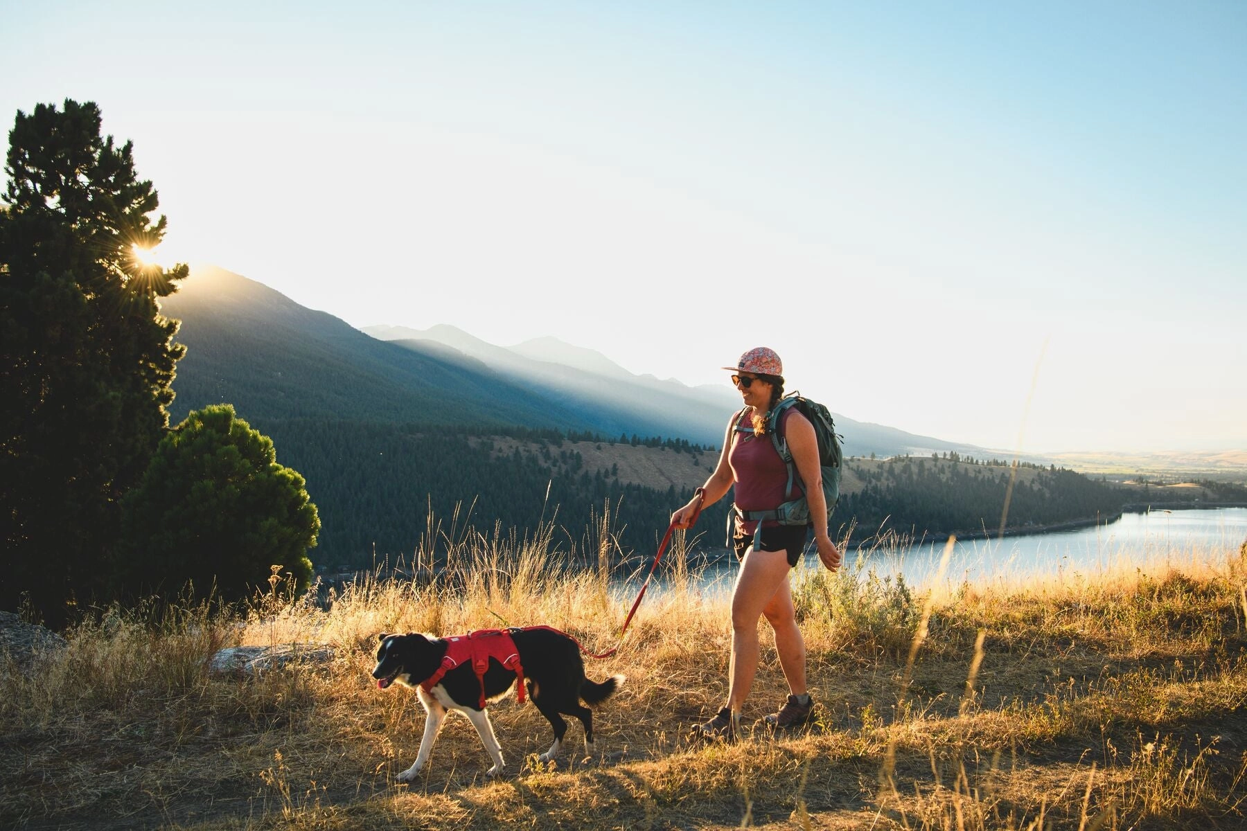 Ruffwear Web Master? Dog Harness with Neck Buckle and Handle (Red Canyon)