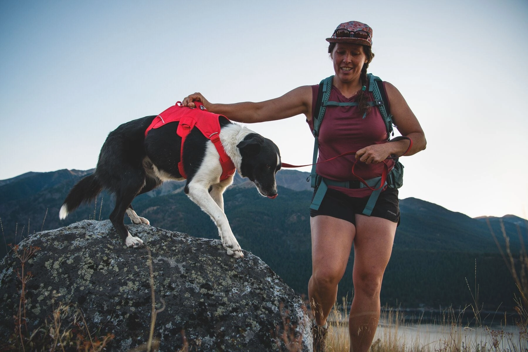 Ruffwear Web Master? Dog Harness with Neck Buckle and Handle (Red Canyon)