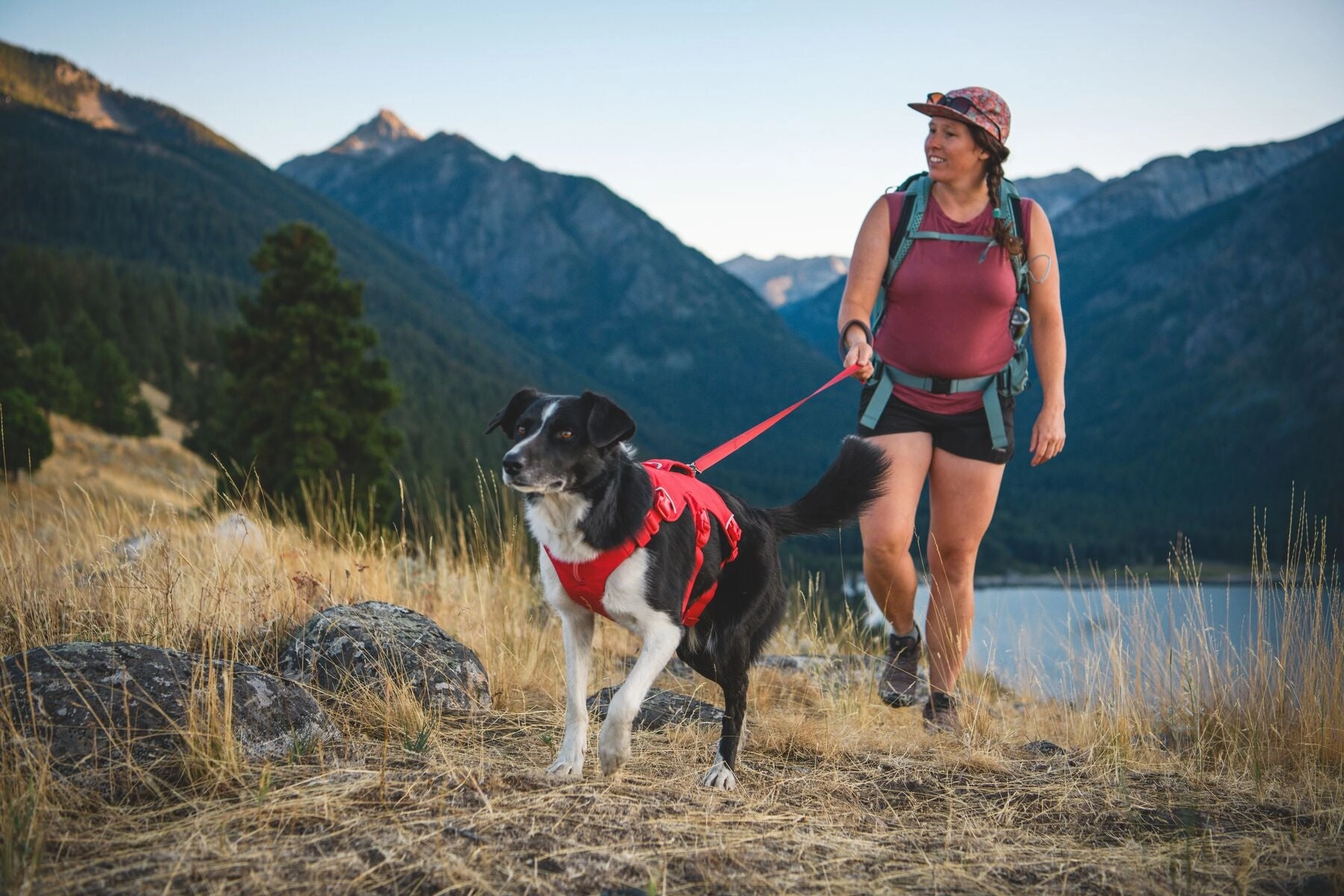 Ruffwear Web Master? Dog Harness with Neck Buckle and Handle (Red Canyon)