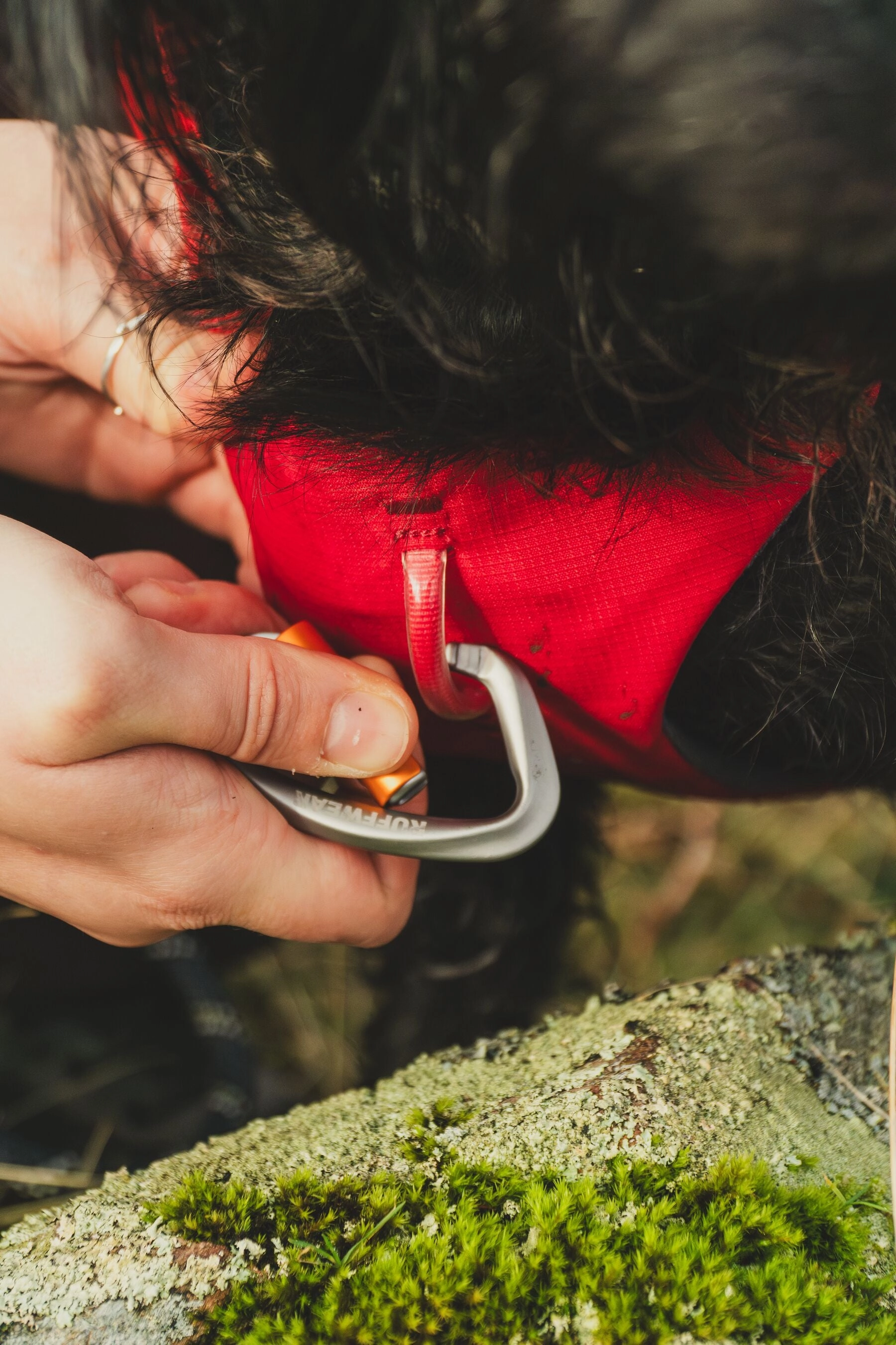 Ruffwear Web Master? Dog Harness with Neck Buckle and Handle (Red Canyon)