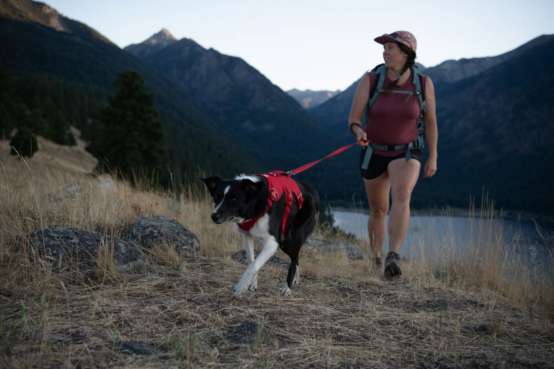 Ruffwear Web Master? Dog Harness with Neck Buckle and Handle (Red Canyon)