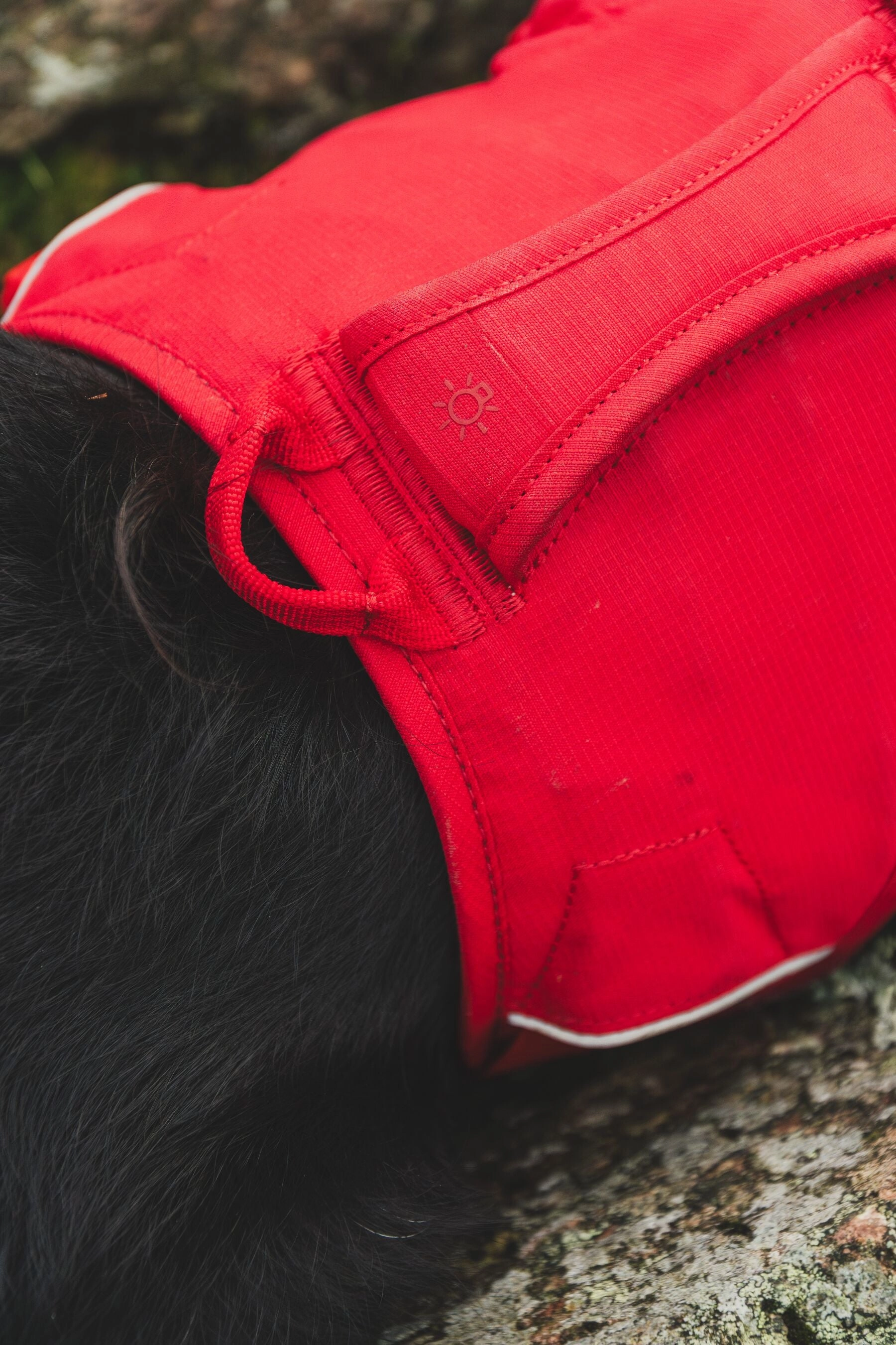 Ruffwear Web Master? Dog Harness with Neck Buckle and Handle (Red Canyon)