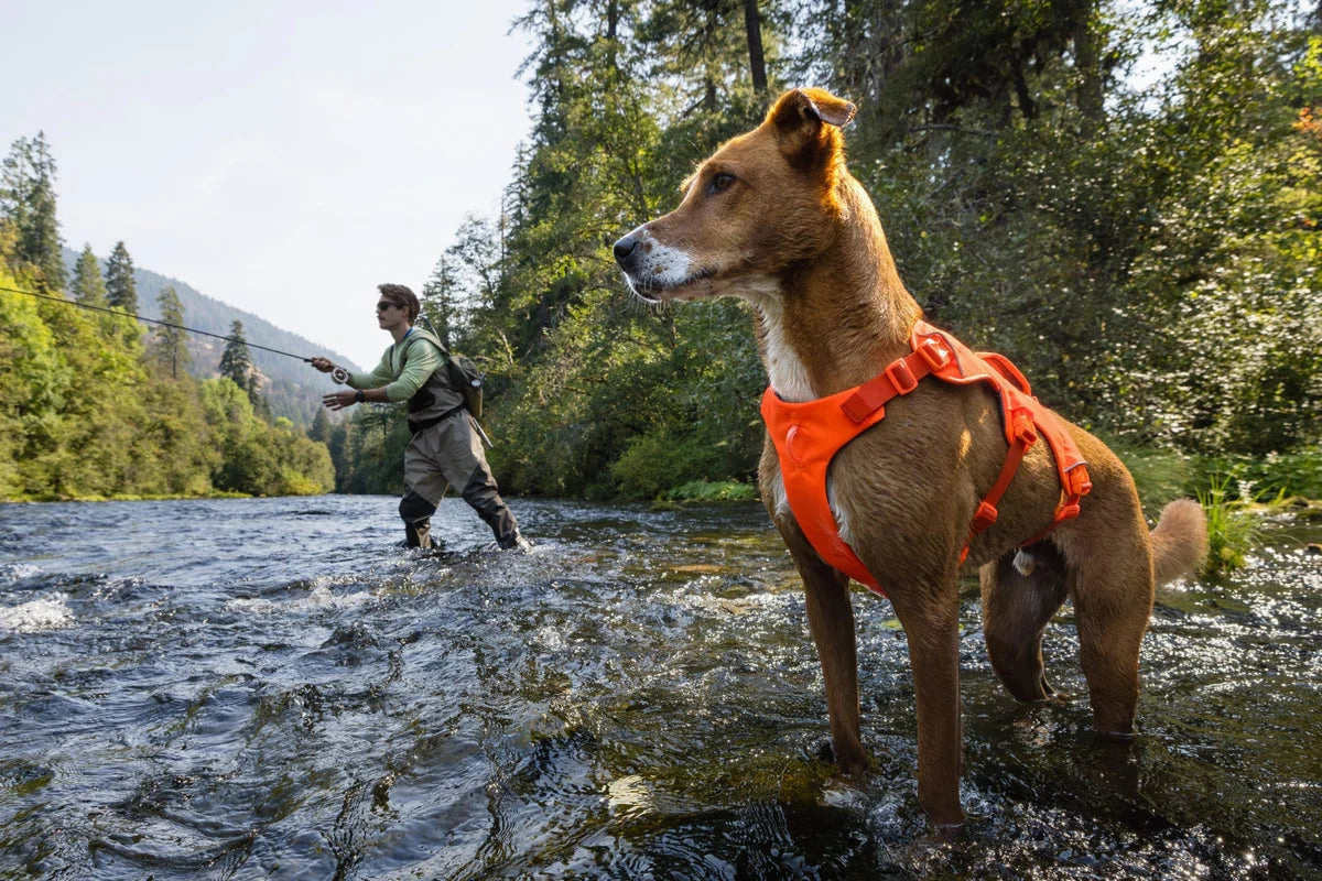 Ruffwear Web Master Dog Harness with Neck Buckle and Handle (River Rock Green)