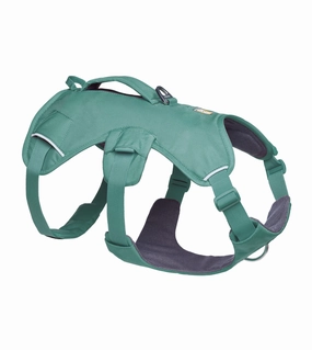 Ruffwear Web Master Dog Harness with Neck Buckle and Handle (River Rock Green) dog nutrition,healthy dog food