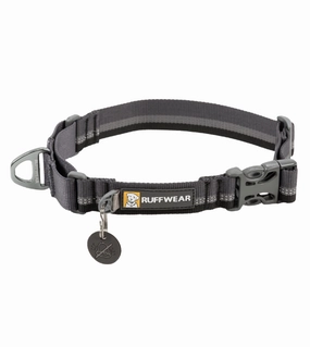 Ruffwear Web Reaction? Reflective Buckled Martingale Dog Collar (Basalt Gray) dog charms,dog ID