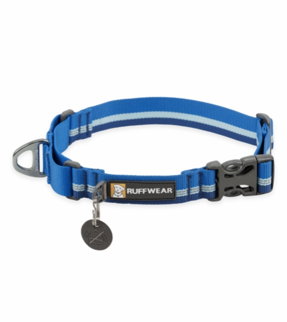 Ruffwear Web Reaction? Reflective Buckled Martingale Dog Collar (Blue Pool) dog charms,dog ID