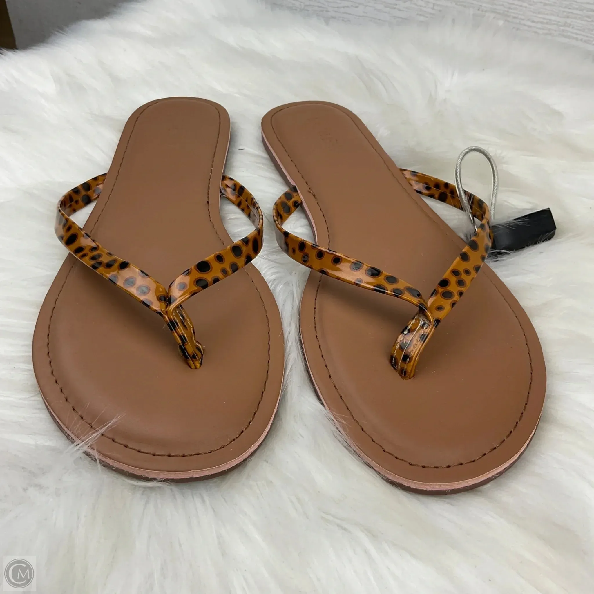 Sandals Flip Flops By J. Crew In Animal Print, Size: 8