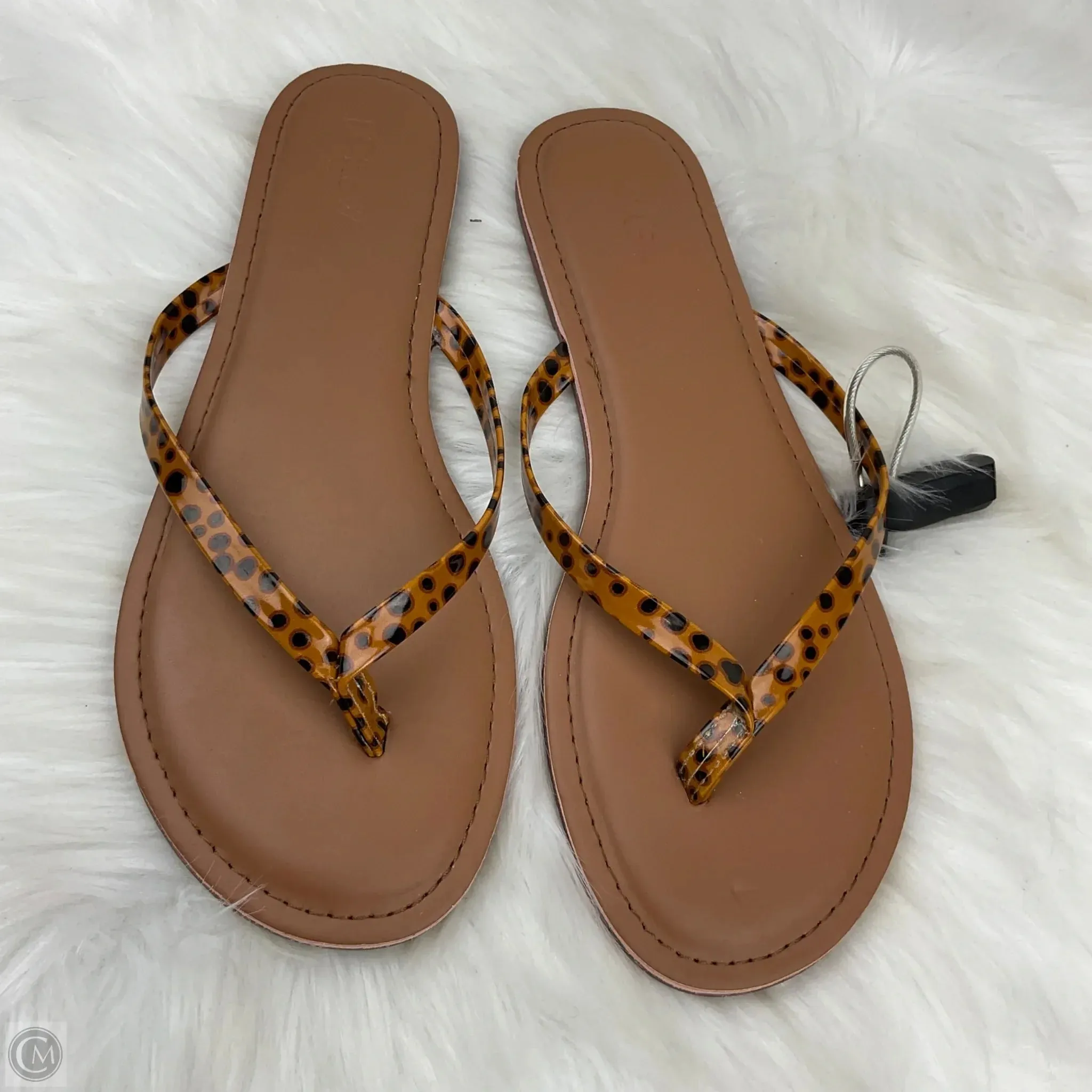 Sandals Flip Flops By J. Crew In Animal Print, Size: 8
