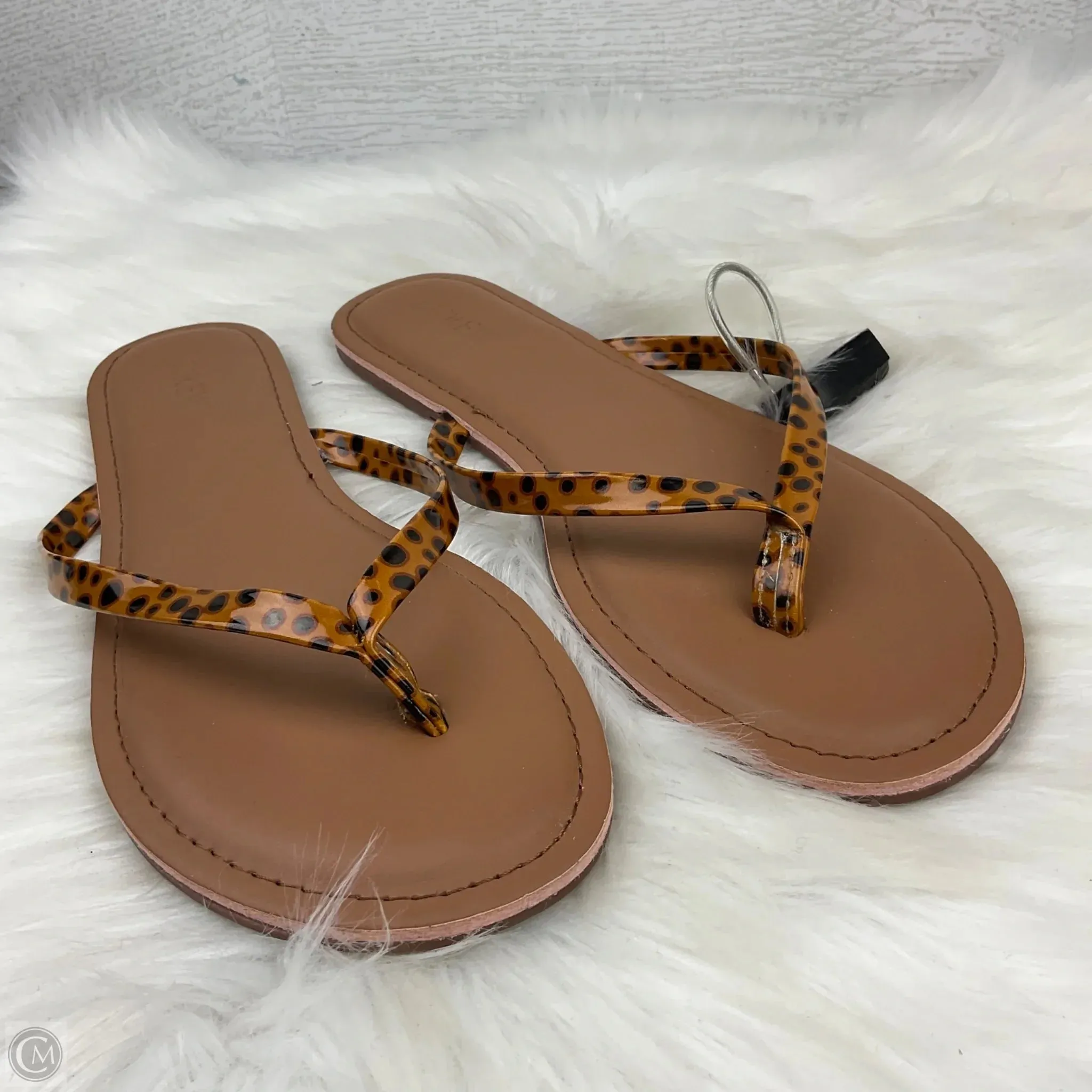 Sandals Flip Flops By J. Crew In Animal Print, Size: 8