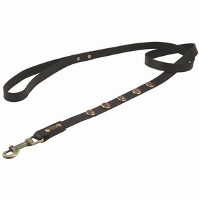 Sandstone Pebble Dog Leash dog mobility,outdoor pet aid