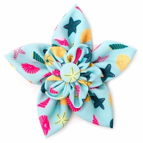 Seashells Dog Collar Flower dog collar accessory,collar decor