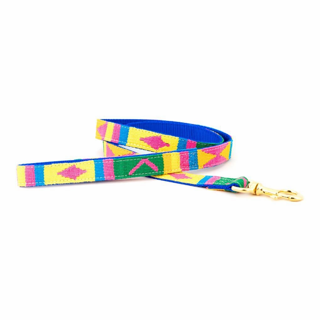 Seasons Spring Dog Leash dog mobility,outdoor pet aid