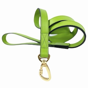 Signature Collection Dog Leash Lime Green/Gold dog mixer,pet meal booster