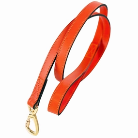 Signature Collection Dog Leash Tangerine/Gold dog mixer,pet meal booster