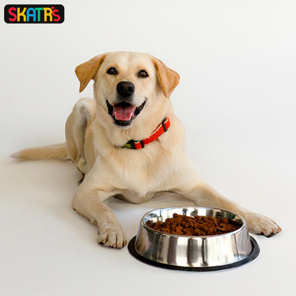 Skatrs Anti Skid Stainless Steel Bowl for Dogs and Cats (700mL)