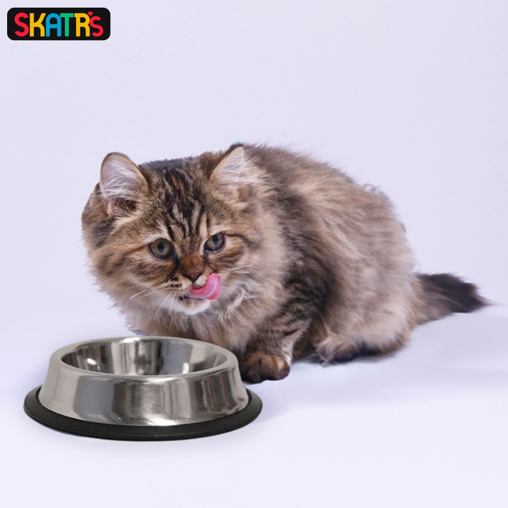 Skatrs Anti Skid Stainless Steel Bowl for Dogs and Cats Medium and Extra Large Combo