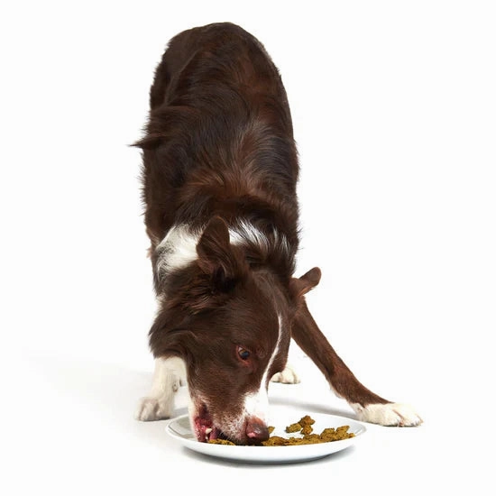 Smack Raw Dehydrated Super Food For Dogs (Chunky Chicken)